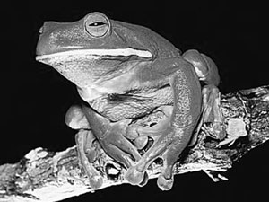 Click here for more Photos